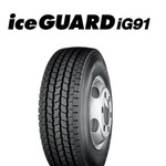 ICE GUARD IG91