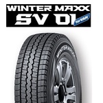 WINTER MAXX SV01